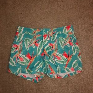 Chubbies swim trunks